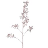 Kunst bes Ilex Verticillata roze