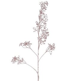 Kunst bes Ilex Verticillata roze