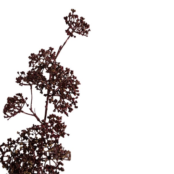 PTMD Kunsttak Leaves Plant metallic burgundy viburnum spray