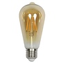 Lamp filament LED DIM Edison 2 goud