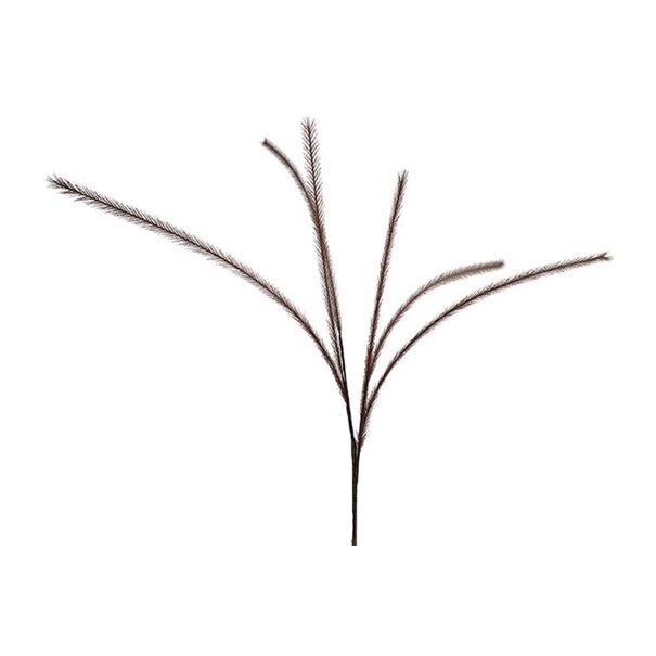 Countryfield Countryfield Pluim tak donkerbruin - 112 cm