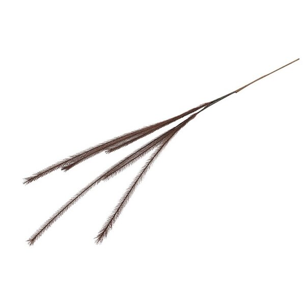 Countryfield Countryfield Pluim tak donkerbruin - 112 cm