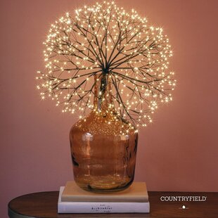 Kerstverlichting LED timer Apollo  zwart - 2 afmetingen