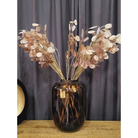 Kunsttak Lunaria biennis L - bruin of groen