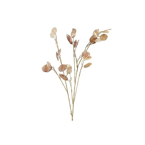 Countryfield Kunsttak Lunaria biennis L - bruin of groen