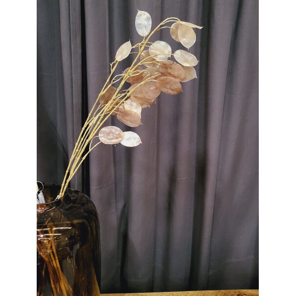 Countryfield Kunsttak Lunaria biennis L - bruin of groen