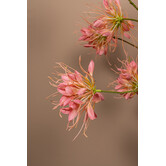 Kunsttak Pink Spider