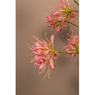 Kunsttak Pink Spider