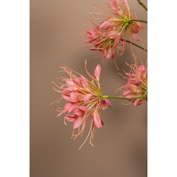 PTMD Kunsttak Pink Spider