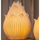 Aveda Wit Lotus hoog LED-lamp oplaadbaar