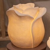 Aveda White roos hoog LED-lamp oplaadbaar