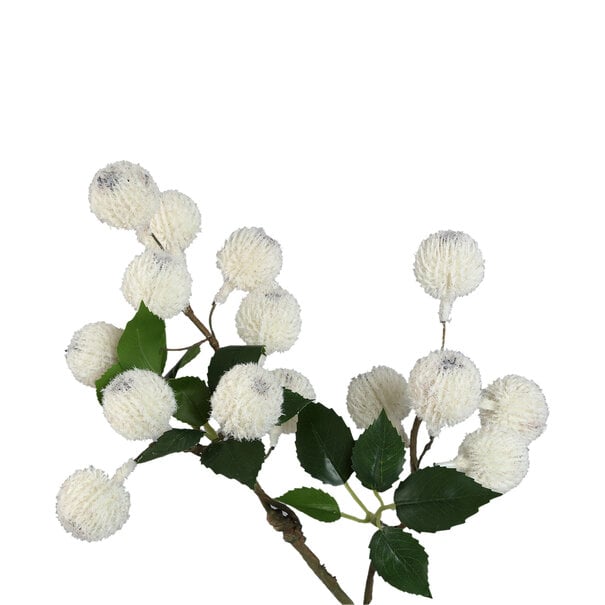 PTMD Kunsttak Twig Wit Xylia fruit