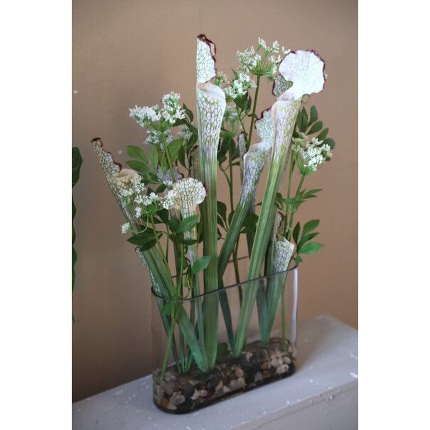 PTMD Groene planten in glazen vaas