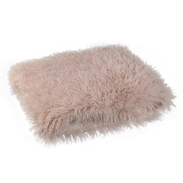 PTMD Plaid Rexx Beige S