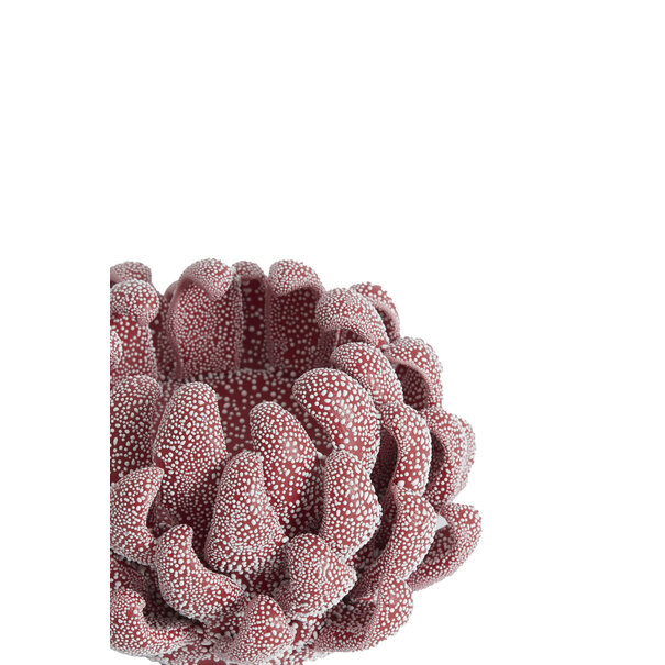 Light en Living Theelicht Ø10,5x7,5 cm SERINA porselein rood