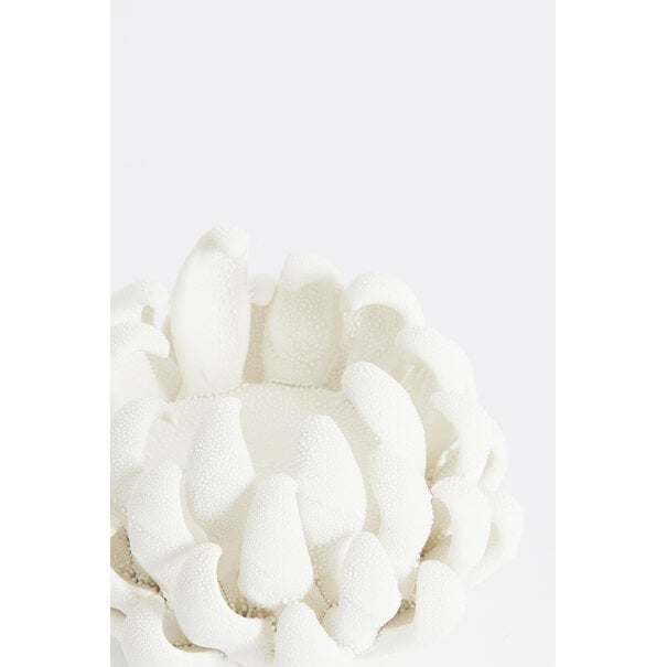Light en Living Theelicht Ø10,5x7,5 cm SERINA porselein crème