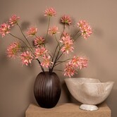 Schaal Cayley Wit organisch klein