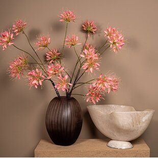 Schaal Cayley Wit organisch klein