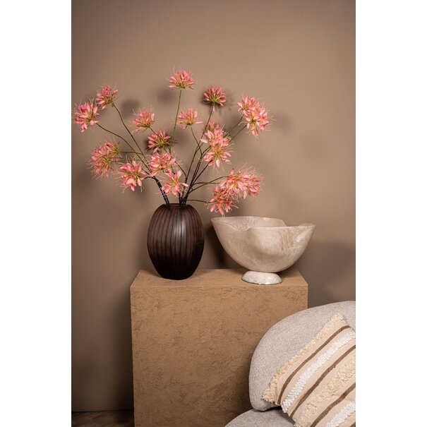 PTMD Schaal Cayley Wit organisch klein