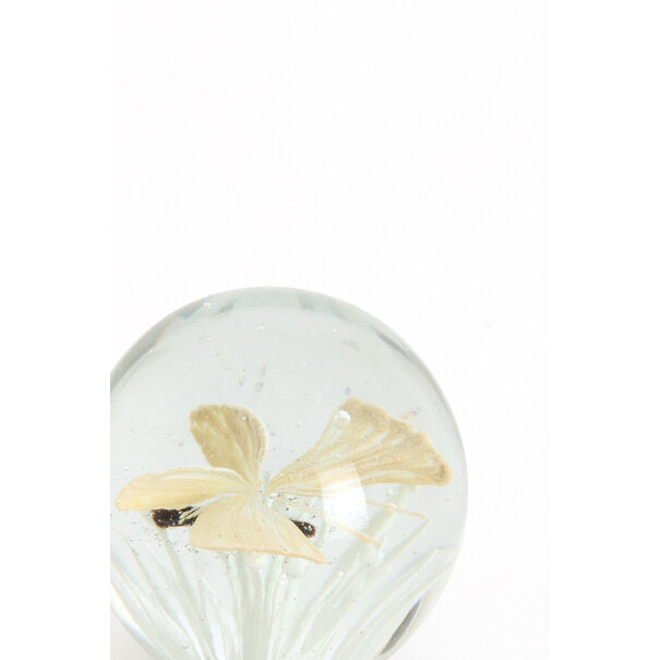 Light en Living Ornament Ø8x8 cm BUTTERFLY glas creme