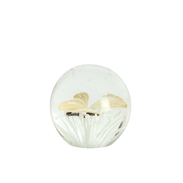 Light en Living Ornament Ø8x8 cm BUTTERFLY glas creme