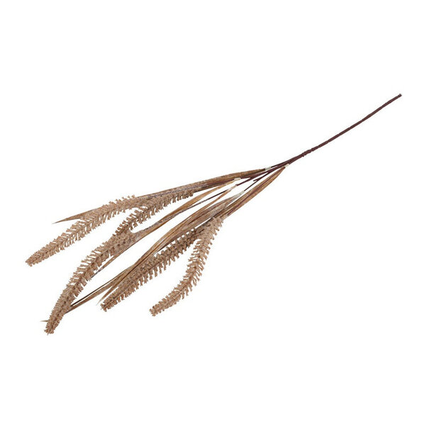 Countryfield Gras/Pluim Certaria bruin