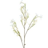 Kunsttak Bloem Vaccaria iriserend S crème