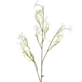 Kunsttak Bloem Vaccaria iriserend S crème