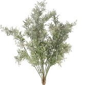 Plant steker Pistacia L grijsgroen-15x15x53CM