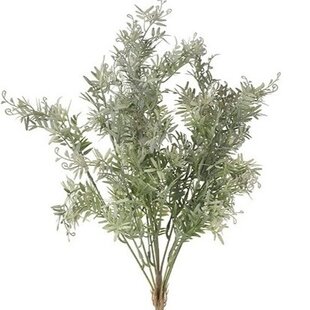 Plant steker Pistacia L grijsgroen-15x15x53CM