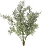 Plant steker Pistacia L grijsgroen-15x15x53CM
