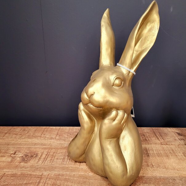 Countryfield Haas Zen M goud