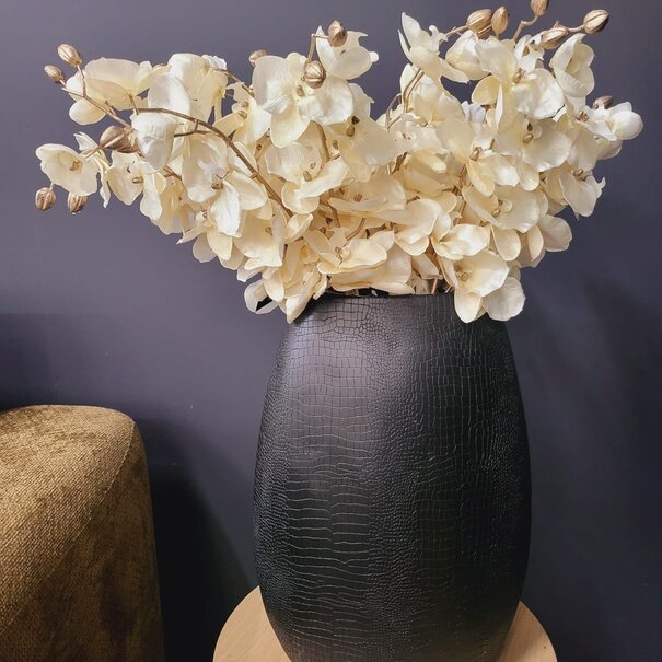 Countryfield Kunsttak Phalaenopsis crème