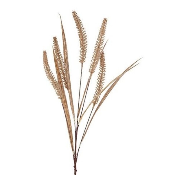 Countryfield Gras/Pluim Certaria bruin