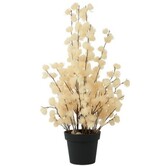 Bloem in pot Clematis alpina XL crème 18 x 18 x 82 cm