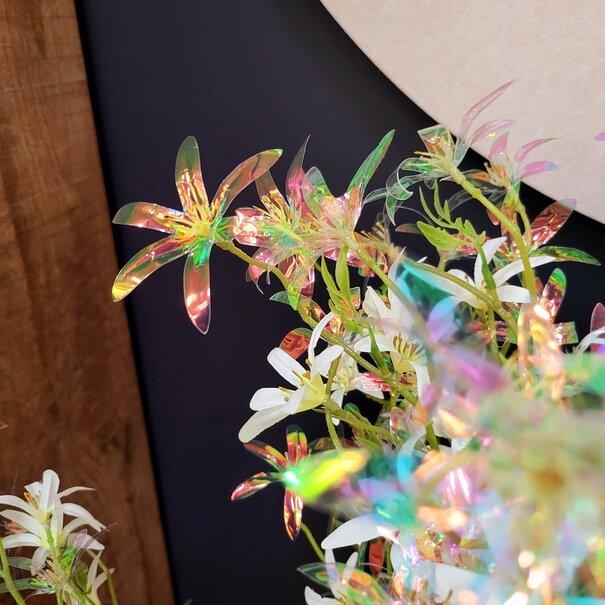 Countryfield Kunsttak Bloem Vaccaria iriserend S crème