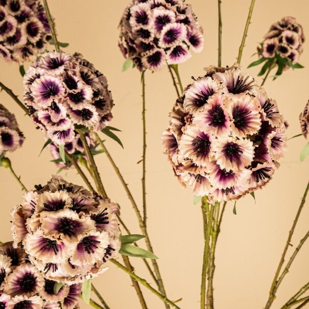 PTMD Kunsttak Garden Flower roze scabiosa