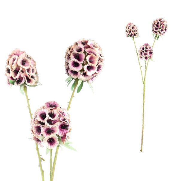 PTMD Kunsttak Garden Flower roze scabiosa