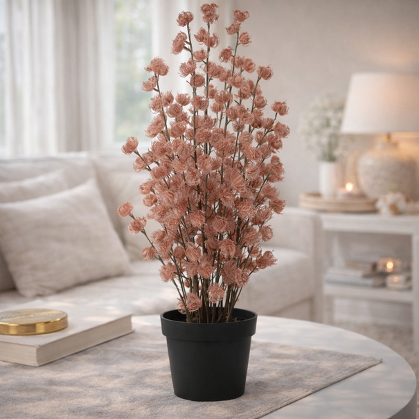 Countryfield Bloem in pot Clematis alpina XL oud roze 18 x 18 x 82 cm