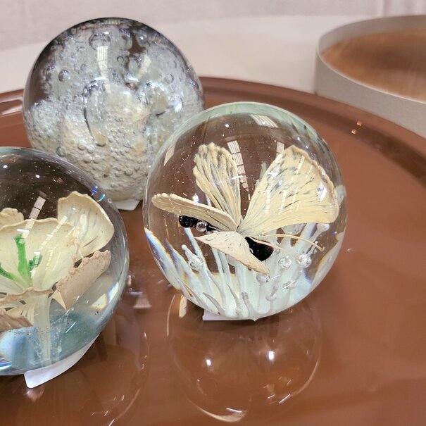 Light en Living Schaal Ø42x5 cm ADA glans bruin