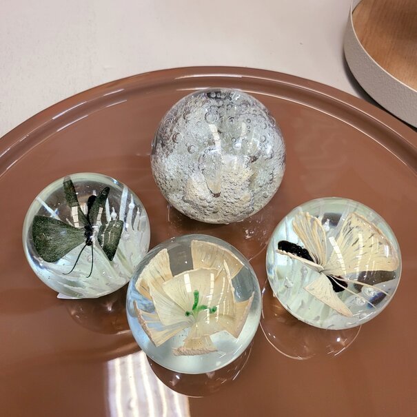 Light en Living Ornament Ø8x8 cm BUTTERFLY glas zwart