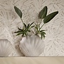 Vaas Frosted Shell L