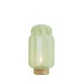 Tafellamp LED Thisio groen L
