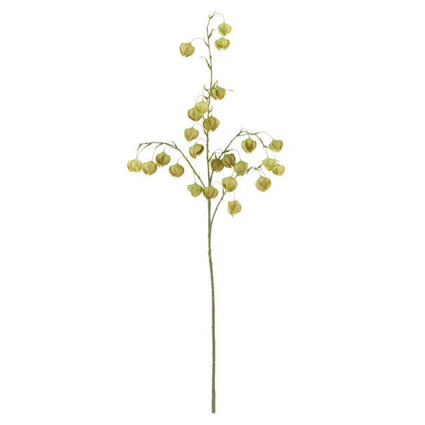 Light en Living Kunstbloem 20x10x100 cm PHYSALIS licht groen