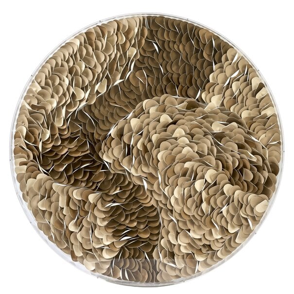 Light en Living Wandornament Ø80x6 cm YAXUNA crème-bruin+helder