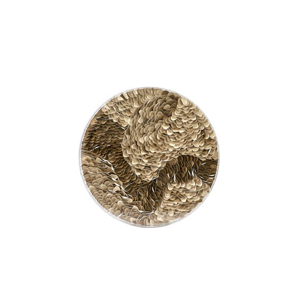 Light en Living Wandornament Ø80x6 cm YAXUNA crème-bruin+helder