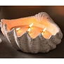 Pearl Candle Wax 500 gram beige + Candle Wax wick box