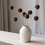 Kunstbloem Taraxacum 3x bruin - 8 x 20 x 80 cm