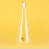 Waterfles Botanical Lemon