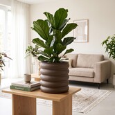 Bloempot Rings XL bruin - 30 x 30 x 29 cm